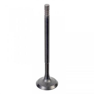 Клапан (впуск) Renault Megane IV/Clio IV/Logan II/Sandero 0.9-1.2 TCe 12- (27x5,5x101) FEBI 176538