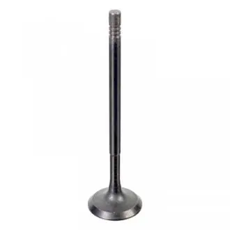 Клапан (впуск) Renault Megane IV/Clio IV/Logan II/Sandero 0.9-1.2 TCe 12- (27x5,5x101) FEBI 176538