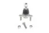 Опора кульова (передня/знизу) Honda CR-V 06- 93-96627-056
