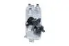 Радіатор масляний BMW 5 (F10, F18) 3.0i 10-/7 (F01, F02, F03, F04) 3.0/4.4i 08- N55/N63/N74 310056