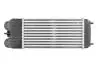 Радіатор інтеркулера Citroen C2/C3/Peugeot 1007/207 1.6 HDi 05- 30196