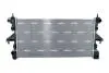 Радіатор охолодження Fiat Ducato 2,3 D Multijet 06- (-AC) 560018