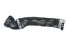 Патрубок інтеркулера BMW 5 (E60) 05-09 M47/N47 (R) 166400