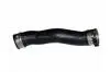 Патрубок інтеркулера BMW 3 (E90) 04-11 M47/N47 (R) 166076