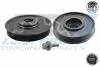 Шків колінвалу + шків генератора Citroen Berlingo/Jumpy/Peugeot Expert 1.9D/2.0HDI 98- (6PK) (з болтами) 17-1085SET