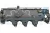 Кришка клапанів Renault Kangoo/Megane/Scenic 1.5 dCi 08- 70-1061
