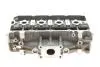 Головка блоку циліндрів Audi Q3/VW Caddy IV/Golf VII 1.4 TSI 11- (всередині OE VAG) ROTWEISS 04E103064F (фото 1)
