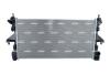 Радіатор охолодження Citroen Jumper/Peugeot Boxer 2.0 Blue HDi 15-19 NRF 560022 (фото 3)
