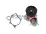 Помпа води BMW 3 (E90/E91/E92) 06-13/X3 (E83) 04-10 B4234123
