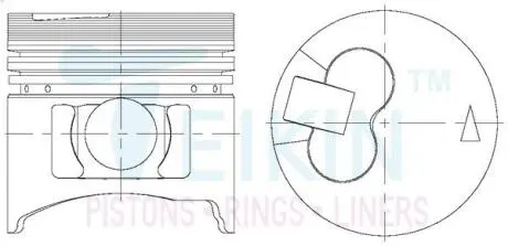 Поршень TEIKIN 43661STD