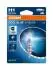 Лампочки освітлення, ксенон, LED OSRAM 64150CBN1BL (фото 1)
