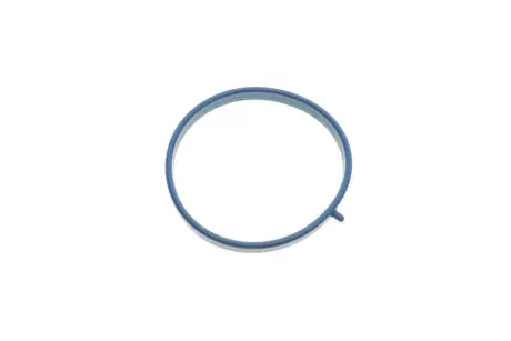Прокладка колектора впускного Ford Focus II/Fiesta/Mondo III/Mazda 3/6 1.8/2.0 04- GAZO GZ-A2820