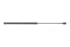 Амортизатор кришки багажника VW Amarok 10- Trucktec automotive 07.62.005 (фото 1)