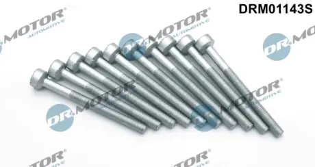 Комплект болтів з головкою системи TORX з чорного металу DR MOTOR DRM01143S