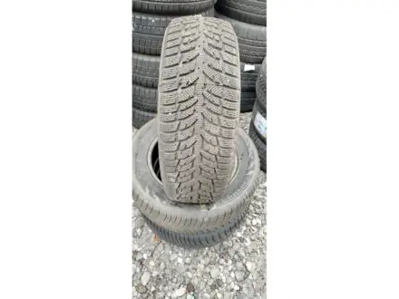 R16 Зима 215/60R16 95T Doublestar WINTERKING DW08 2923 8,3 мм Шини БУ 182244