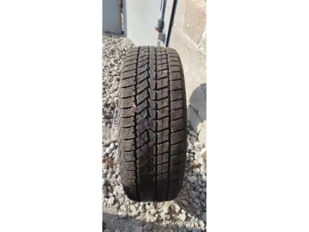R19 Зима 225/55R19 99T Doublestar WINTERKING DW02 1823 8,2мм Шини БУ 182269