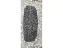 R13 Зима 175/70R13 82T Doublestar WINTERKING DW08 1724 7,5мм Шини БУ 182257 (фото 1)