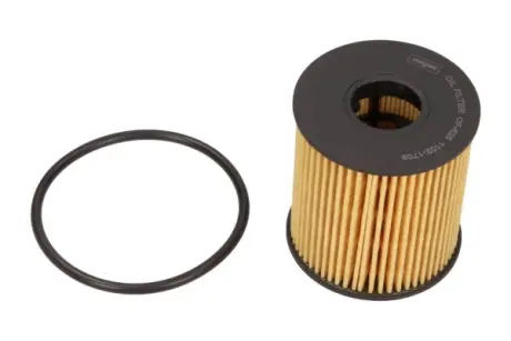 Фiльтр масляний MAXGEAR 260193