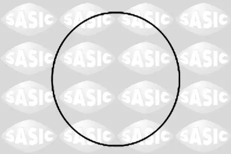 Кольцо уплотнительное гильзы цилиндра SASIC 1120780