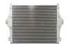 Впускний охолоджувач повітря THERMOTEC DASC012TT (фото 2)