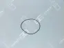 Ущільнююче кільце муфти циліндра OE GERMANY 040111226001 (фото 1)