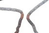 Комплект ланцюга насосу оливного Hyundai H-1/Kia Sorento 2.5 CRDi 01-,(ланцюг) INA 558 0155 20 (фото 9)