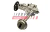 Насос масляный Renault Kangoo (08-), Megane (III,IV), Logan (I,II) FT38331