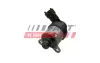 Клапан ТНВД Hyundai Santa Fe II 2.2d/ Kia Sportage II 2.0d/ Renault Trafic II 2. FAST FT51780 (фото 1)