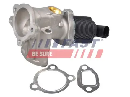 Клапан EGR Fiat Doblo (00-10), Fiorino (07-) 1.3d FAST FT60228 (фото 1)