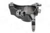 Кулак поворотний (цапфа) Citroen C5/C6/Peugeot 407/508 04- (L) Aic 58913 (фото 4)