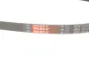 Ремень генератора 4PK1210 Great Wall Gates 3701011-EG01 (фото 5)