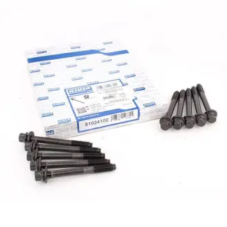 Болт ГБЦ Great Wall (компл. 10 шт) AJUSA SMD191470