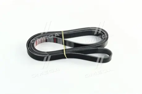 Ремень генератора 2.0L Diesel (4D20D) Great Wall Wingle 7 Dongil 3701011AED01A