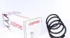 Пружина передняя Chery Tiggo LESJOFORS T11-2902011 (фото 1)