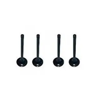 Клапан впускной Chana Benni Aftermarket YB007-100