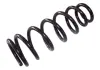 Пружина задняя Chery Cross Eastar Aftermarket B14-2912011 (фото 2)