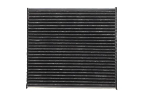 Фільтр салону BMW 2 (U06) 21-/X1 (U11) 22- (вугільний) MEYLE 312 326 0031/PD