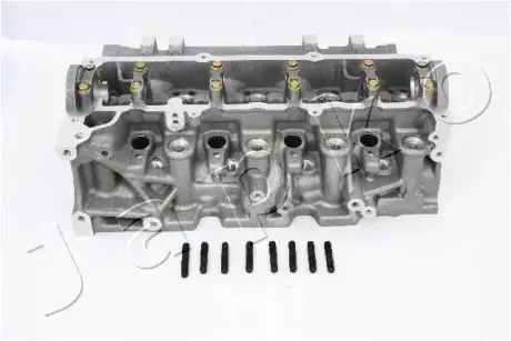 Головка блока цилиндров (ГБЦ) Renault Logan (05-12), Kangoo (01-), Megane II (03 Japko JNS013S