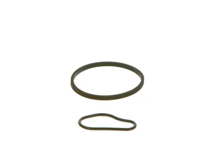 Прокладка насосу вакуумного (к-кт) Fiat Scudo/Citroen Berlingo/Peugeot Expert 1.6D/HDi 07- BOSCH F 009 D00 783