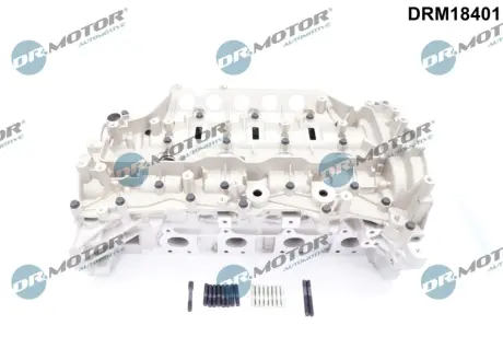 Головка блока DR MOTOR DRM18401