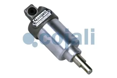 Робочий циліндр (M10x1) DAF IVECO MAN COJALI 2201100 (фото 1)