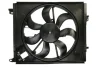 Вентилятор, система охолодження двигуна THERMOTEC D8R020TT (фото 1)