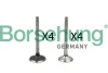 Клапан (впуск/випуск) VW Caddy 1.6TDI/2.0TDI 03- (к-кт 8шт.) (OE VAG) Borsehung B18766 (фото 1)