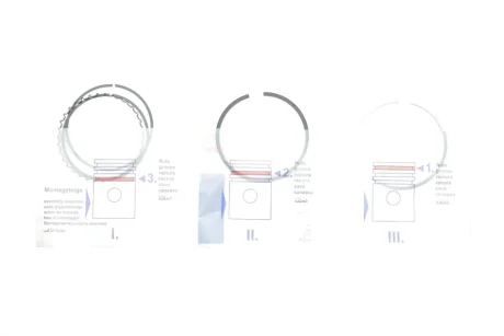 Комплект поршневих кілець NPR 120037005900