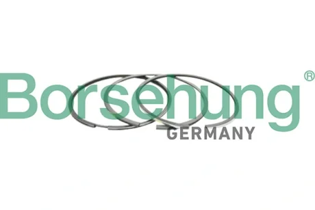 Комплект поршневих кілець Borsehung B10366