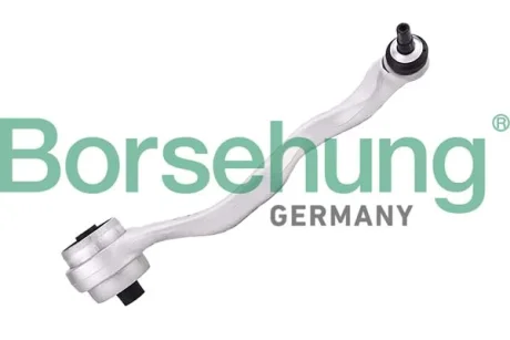 Осьовий шарнір, поперечна кермова тяга Borsehung B12521 (фото 1)