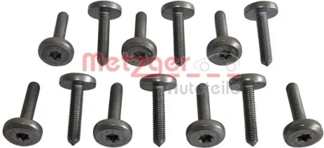 Набір гвинтів з внутр. шестигранником METZGER 8029025 (фото 1)