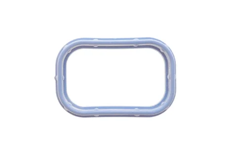 Прокладка колектора впускного Citroen Jumper/Peugeot Boxer 2.2HDI 06- Psa 0348T1