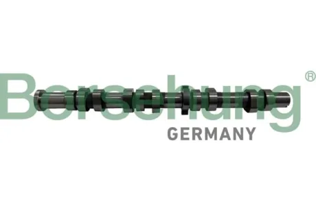 Переключатель Borsehung B12431