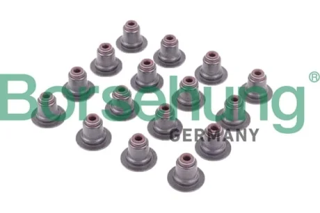 Сальник клапанів; 16 шт Borsehung B12506 (фото 1)